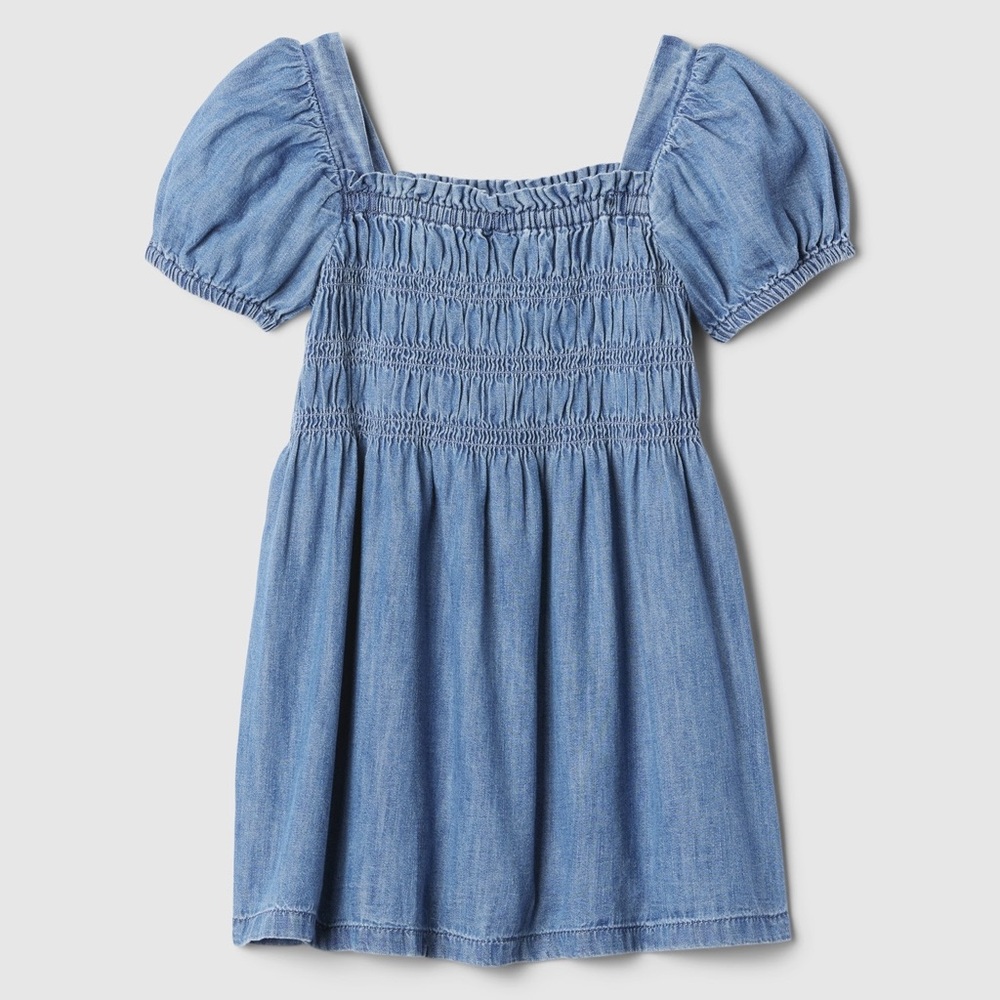 Baby Gap Smocked Denim Dress